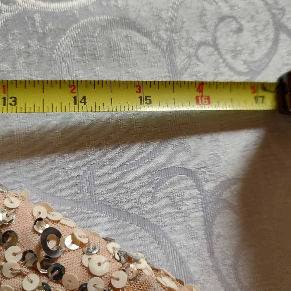 Adrianna Papell Formal Sequin Dress Sz 2 Champagne Beige Train - Picture 11 of 11